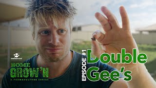 EP #1 : How I got rid of Double Gee Prickle (without pesticides) | Home Grow