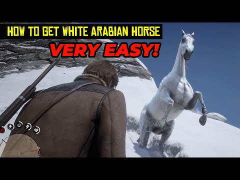 RDR2 – Catching the Legendary Rare White Arabian Horse (Arthur’s Epic Find)
