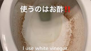 Go green. Organic cleaning with vinegar.オーガニッククリーリング- お酢とサンドペーパーで尿石を落とし。 VIP Home Concierge Service
