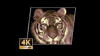 C64 Graphic - The Tiger [1996] by Alpha Flight