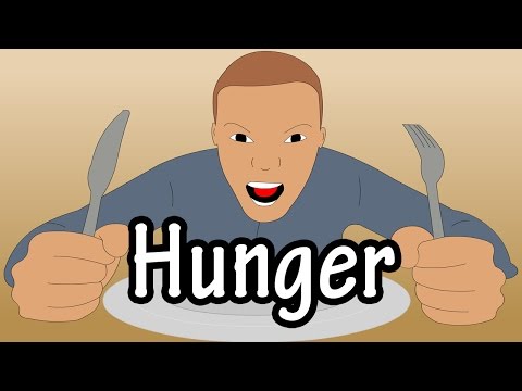 Hunger - What Is Hunger Biologically - What Is Leptin - What Is Ghrelin - Why Do We Get Hungry