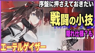 【エーテルゲイザー】戦闘のコツや知っておいて欲しい事--リリース前に予習--【深空之眼-Aether Gazer -】