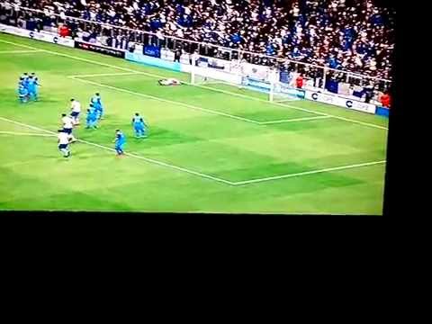 Falta de cerca nivel 1