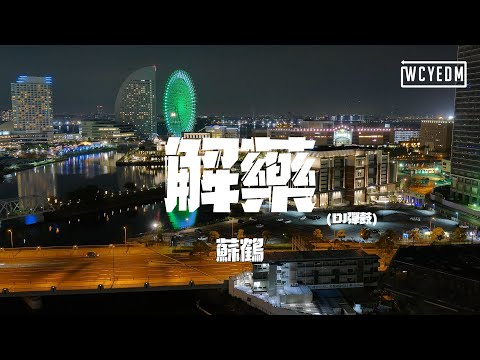 苏鹤 - 解药 (DJ弹鼓)「老地方出现 我忘返流连就在昨天 爱悄然离线」【動態歌詞/pīn yīn gē cí】