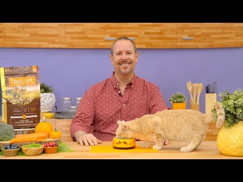 Instinct Ultimate Protein Cat