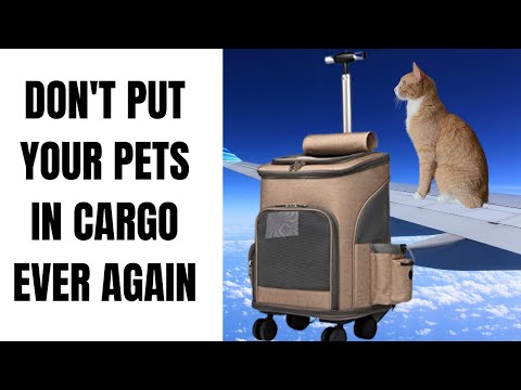 TSA Approved Pet Carrier | ELEGX Rolling Pet Carrier Backpack Review