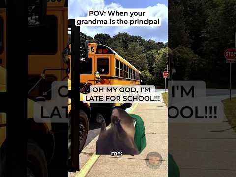 My Grandma Is the PRINCIPAL?! 💀 #catmemes #school #shorts