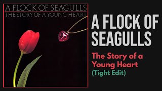 A Flock of Seagulls - The Story of a Young Heart (Tight Edit)