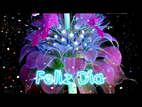 29 Diciembre Felicitación Cumpleaños