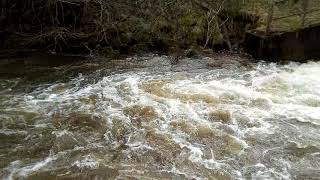 Ruthven Water meets Storm Georgina