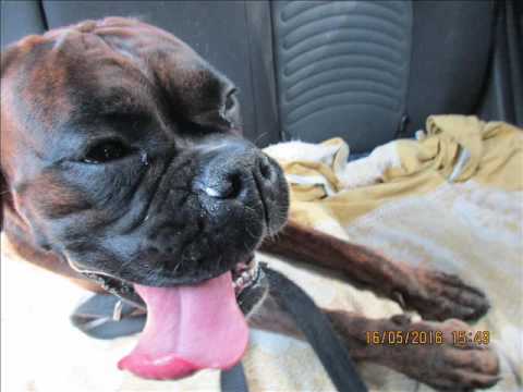 J Ax   Snob Reloaded Feat Club Dogo Marracash Chief Space One clip Video by Mattia Zoe e Al ,e Vespa