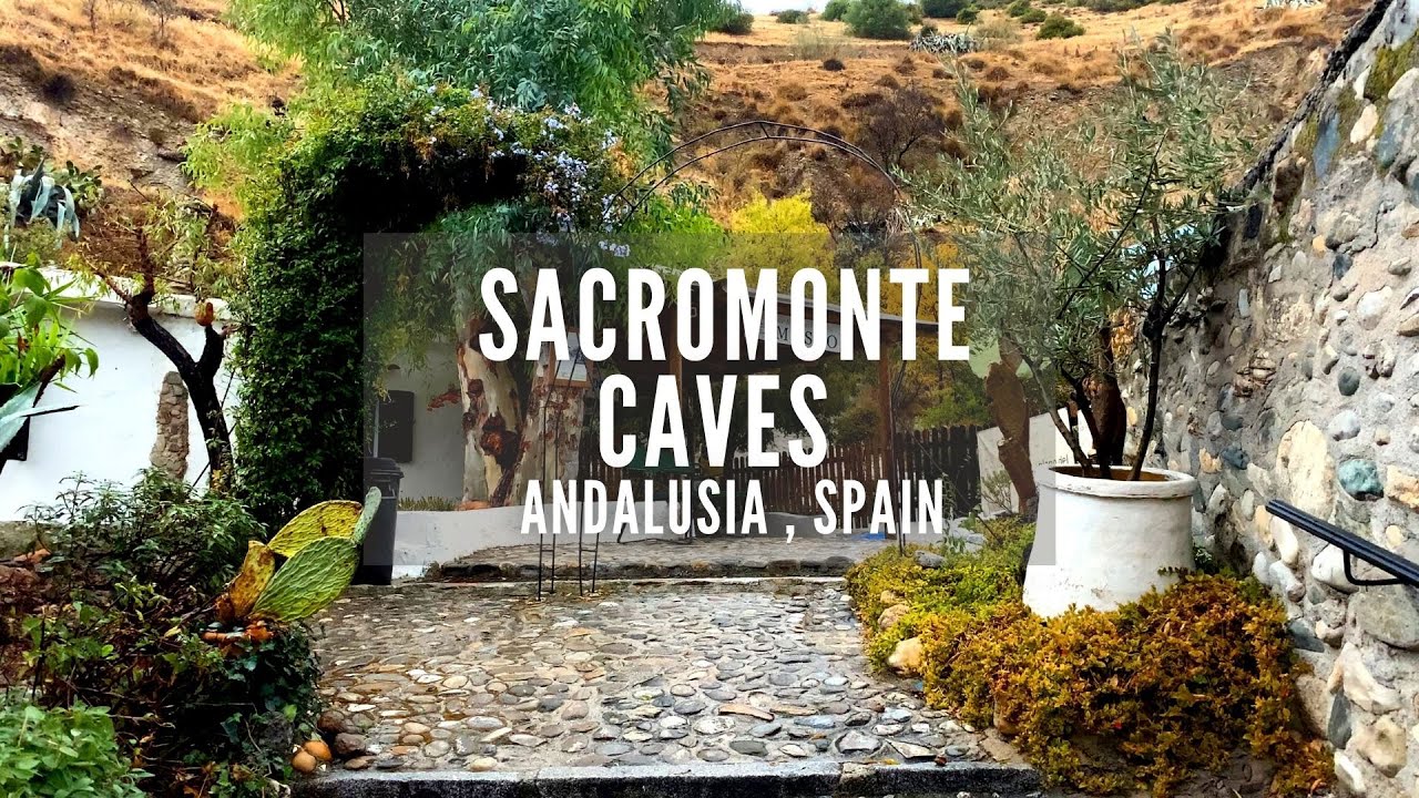 Experience Granada's famed cave neighborhood, where electrifying zambra flamenco intertwines with breathtaking Alhambra panoramas.