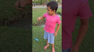 Download lagu Babu Catches a Tiny Crab! 🦀 Cute Mischief at the Beach|CandyBabu Vibes #fiddlercrab #crabeatingfox mp3