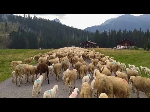 Per la Val Visdende!🏞️