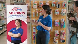  Anything for Dogs Month 2025