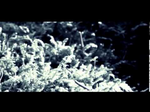 Mike Tohr - Pearls from heaven [Official video]