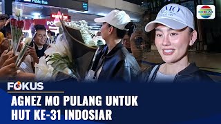 Download lagu Agnez Mo Pulang untuk HUT ke-31 Indosiar | Fokus mp3
