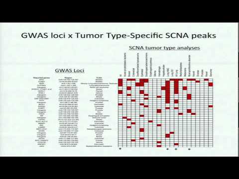 Genome-Wide Co-Localization of Somatic Copy Number Alterations and Germline... - Marcin Imielinski