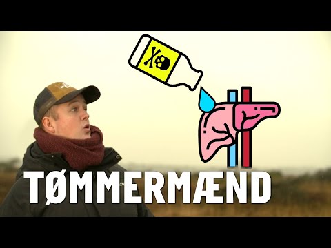 TØMMERMÆND // ANDERS PÅ HERRENS MARK