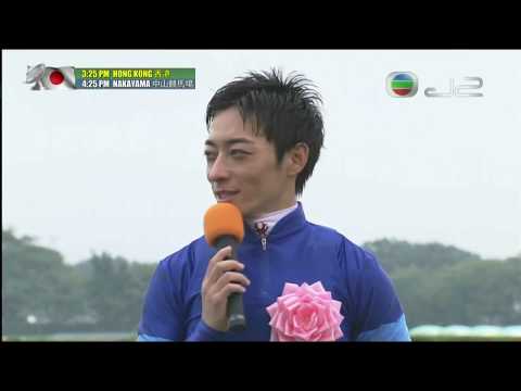 2018 Japan Sprinters Stakes G1 -  Fine Needle (鐵杵成針) - Y.Kawada (香港馬幸運如意直路前已收停)