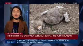 17.09.2020 21:00 Главные новости