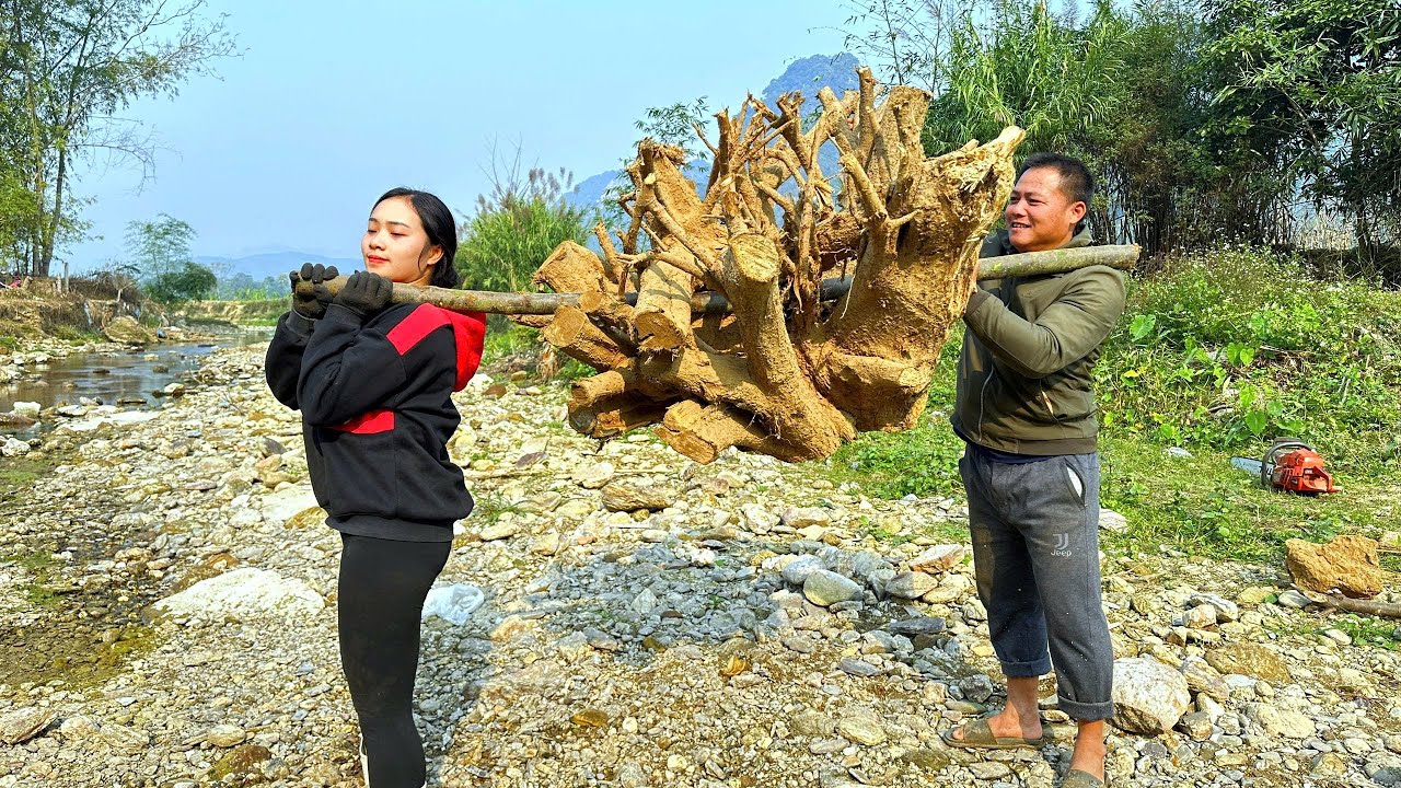 With skillful hands, Giang and Uncle Mat together made a table and chair set from dry tree stumps