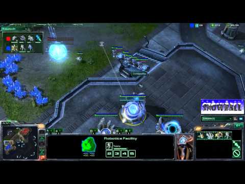 WhiteRA (P) vs DeMusliM (T) IEM Game 1