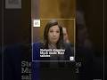 Stefanik Disputes Musk Made Nazi Salutes