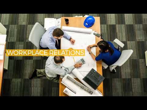 TLB LAW & CO video.