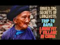 Unveiling The Secrets Of Longevity A Trip To Bama Longevity Village In Guangxi China