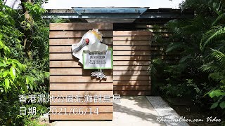 香港濕地公園泥灘觀鳥屋