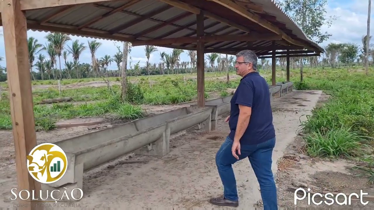 Praça de alimentação para bovino, Parte 01