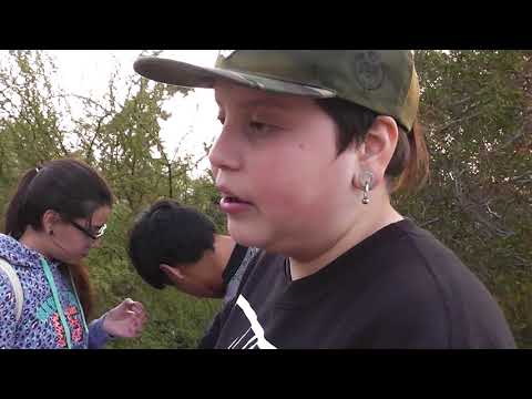 SKN vs Juankalbo - LDU Campeonato de Estilos 7: Semifinal