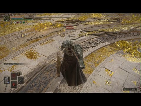 Insane Back and Forth | ELDEN RING PVP AREA