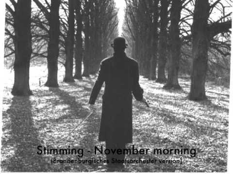 Stimming - November Morning (Brandenburgisches Staatsorchester Version)