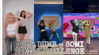 DUMB DUMB - SOMI (전소미) Challenge tiktok with