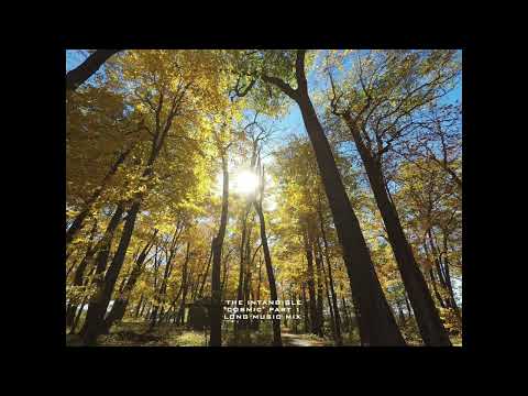 THE INTANGIBLE-"COSMIC"-PART 1-LONG MUSIC MIX