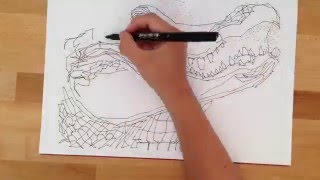 1000 Dot to Dot TIMELAPSE