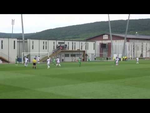 GOALS: Budaorsi SC friendly