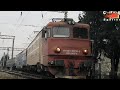 Concert De Goarne Făcut De Creața EA721 AMX600 EA924 AMX704 Trenuri In Gara Bistrita Nord