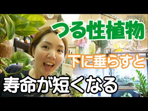 リアルハートチーム 植物