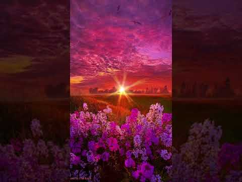 Devotion-Composed by Khaled Waheed