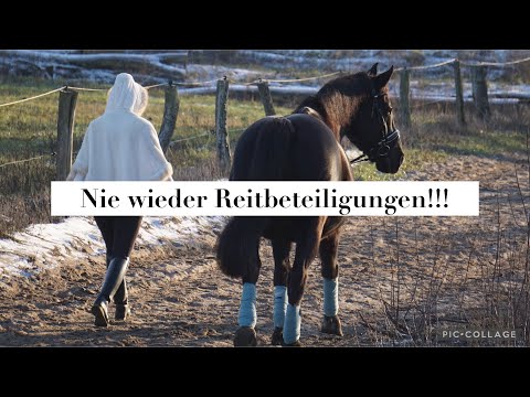 Nie wieder Reitbeteiligungen!!!