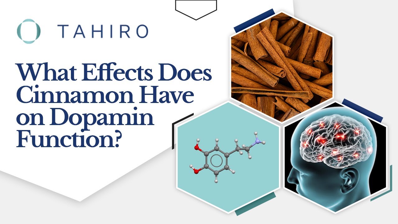What Effects Does Cinnamon Have on Dopamine Function?