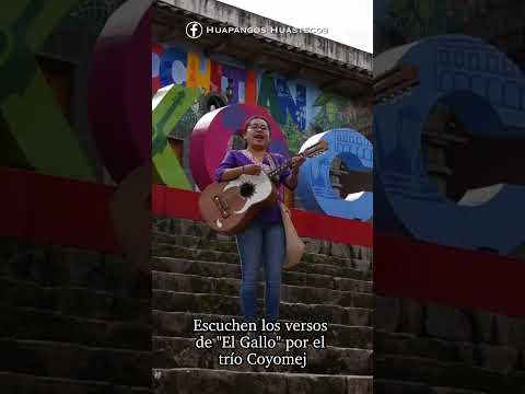Escuchen  "El Gallo" por el trío Coyomej de Xochitlán de Vicente Suárez Puebla