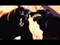 Bear Fox And The Hound Vs Bear Balto