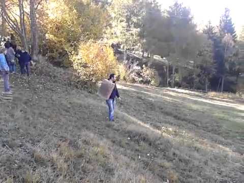 Aquadro funny moments. Chiarini e la mucca 02