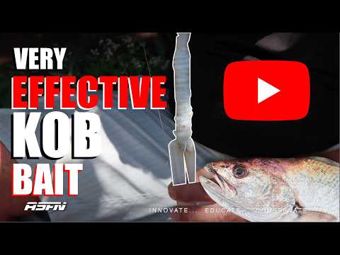 VERY EFFECTIVE KOB BAIT | Mulloway/Kabeljou Tips | ASFN Baits & Traces
