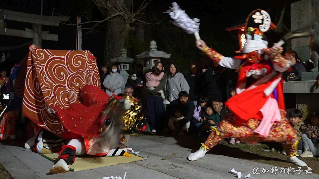 高岡 佐加野の獅子舞 2026年 宮参り / 富山県高岡市