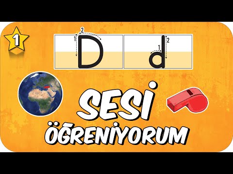 D Sesi Öğretimi 🌍 Okunuşu ve Yazılışı 🌊 1.Sınıf #2025